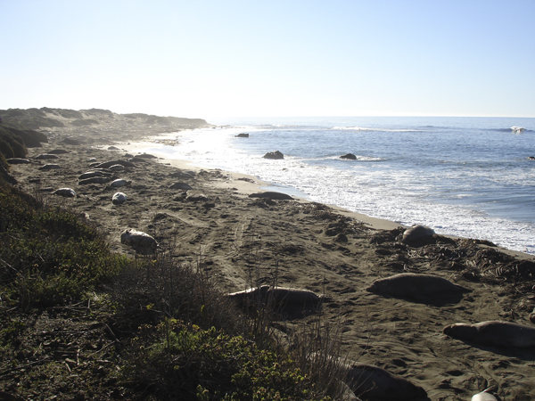 Cambria (1159a)