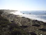 Cambria (1159a)