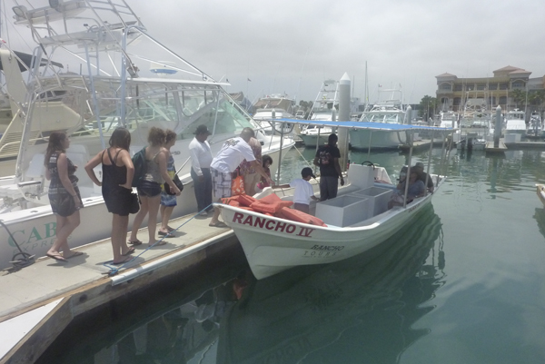 Cruise Web (131b)