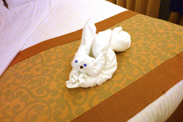 Cruise Web (175a)