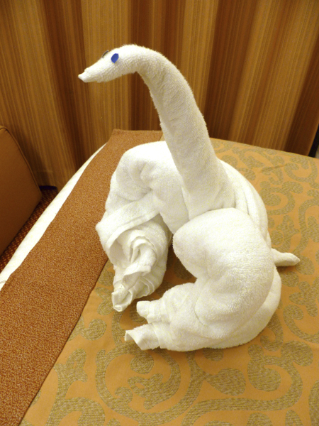 Cruise Web (206)