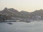 Cruise Web (117c)