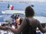 Cruise Web (117d)