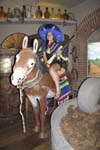 Cruise Web (131)