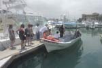 Cruise Web (131b)