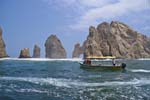 Cruise Web (134)