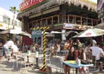 Cruise Web (147)