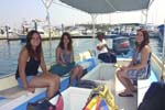 Cruise Web (152)