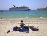 Cruise Web (153h)