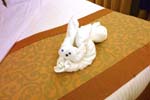Cruise Web (175a)