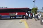 Cruise Web (179)