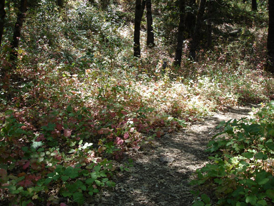 Vacation 2007 (154)
