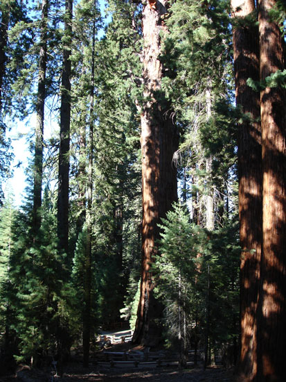 Vacation 2007 (163)