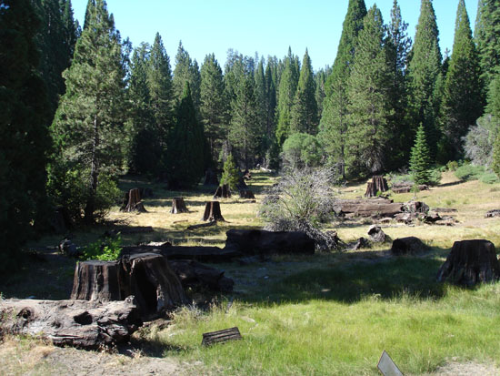 Vacation 2007 (185)