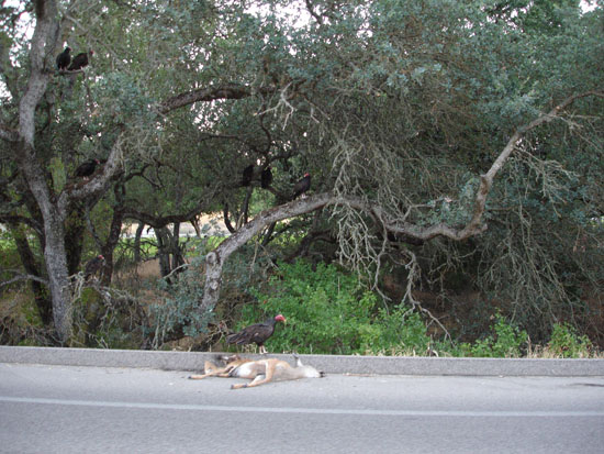 Vacation 2007 (206)