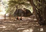 Vacation 2007 (152)