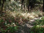 Vacation 2007 (154)