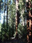 Vacation 2007 (163)