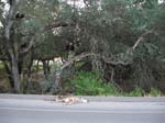 Vacation 2007 (206)