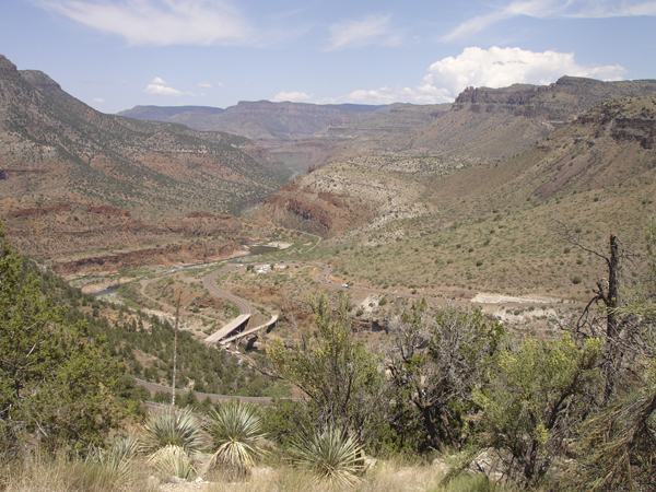 New Mexico (1188a)