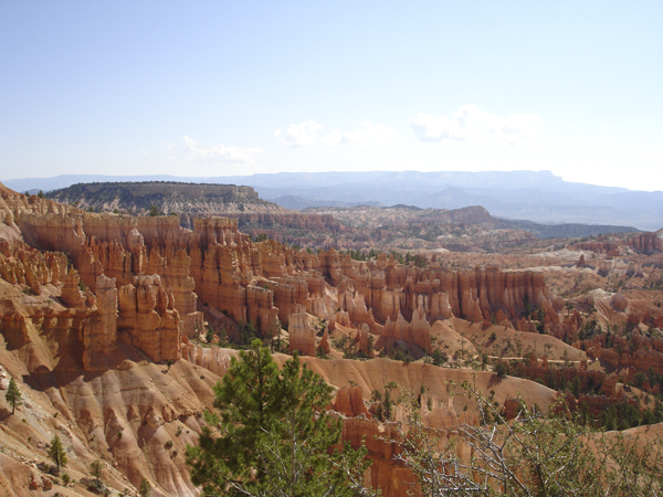 New Mexico (2760)