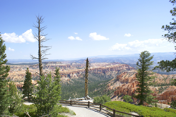 New Mexico (2793)