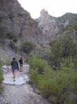 New Mexico (1385)
