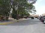 New Mexico (2137)