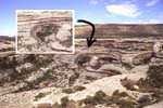 New Mexico (2513) copy