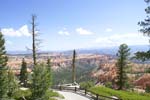 New Mexico (2793)