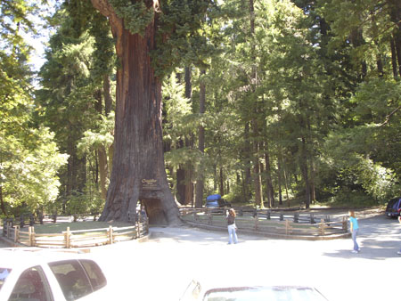 Cal-Oregon (1242)