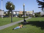 Cal-Oregon (1382b)
