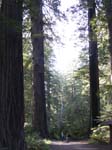 Cal-Oregon (1417) copy
