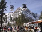 Tahoe (1209)