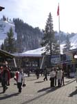 Tahoe (1212)
