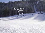 Tahoe (1225) copy