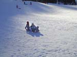 Tahoe (1236) copy