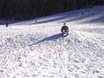 Tahoe (1248b) copy