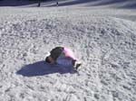 Tahoe (1248c) copy