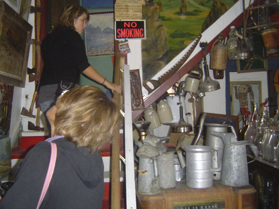 Dells 0222