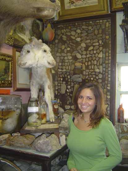 Dells 0269