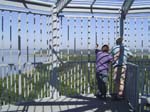 Dells 0420