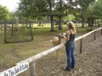 Dells 0484