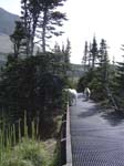 Dells 0749