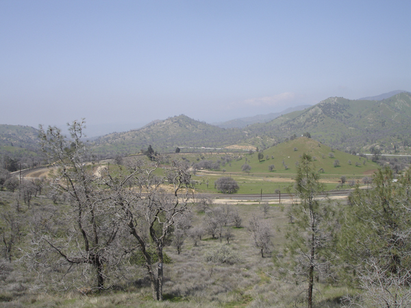 Bakersfield 130