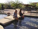 Carefree Webpix 123