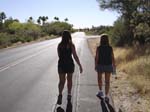 Carefree Webpix 134