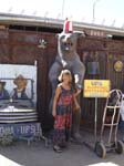 Carefree Webpix 144