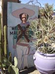 Carefree Webpix 145