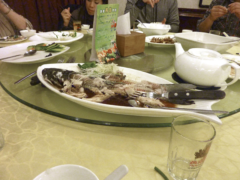 China (306) copy